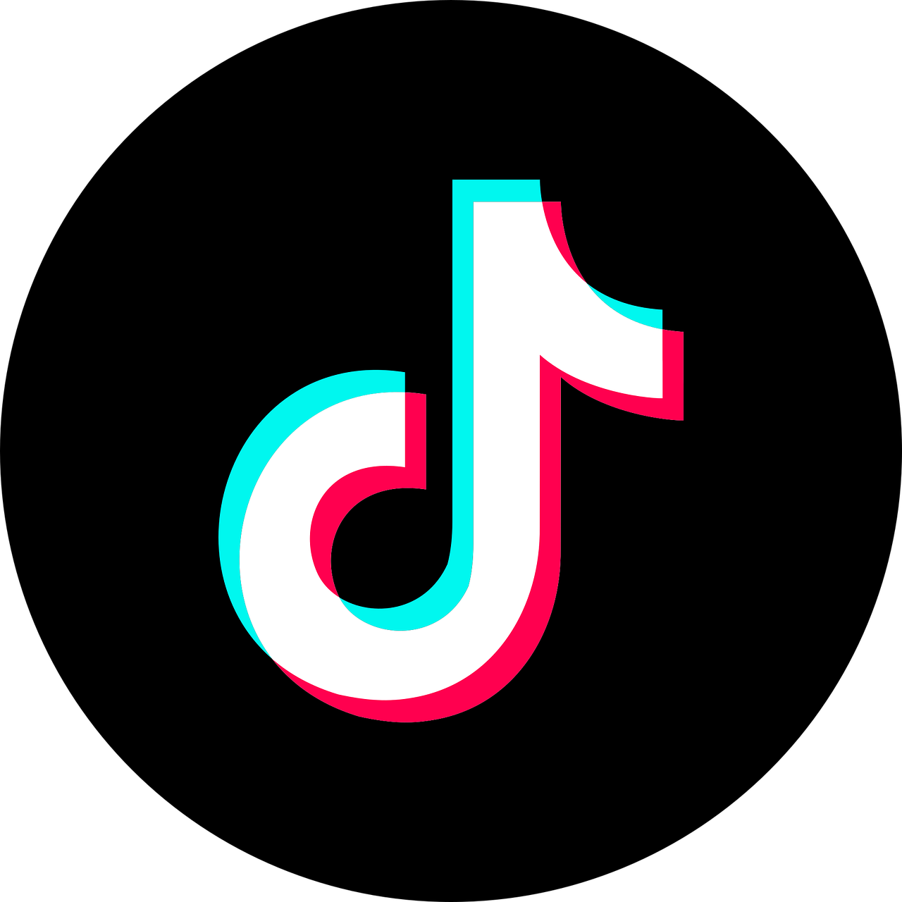 Sivad Cleaning Services tiktok logo